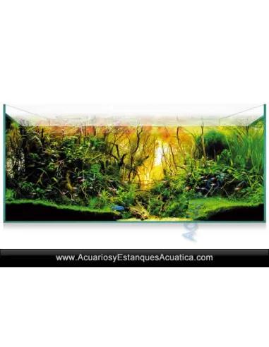 Kit Acuario Aquascape Acuarios Baratos