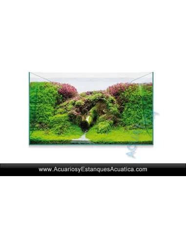 Urna Aquascape Acuarios Baratos