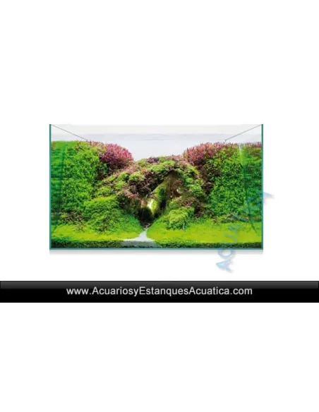 Urna Aquascape Acuarios Baratos