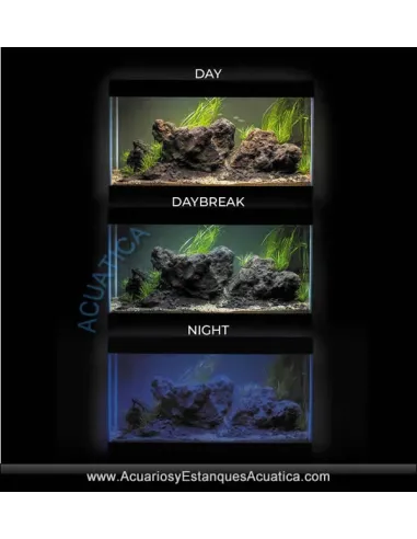 Acuario Completo Aquascape Aquael Ultrascape