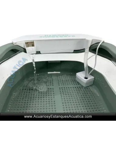 Tortugueras para tortugas de agua EASY CLEAN