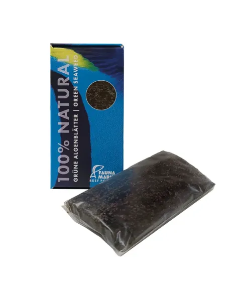 Natural Green Seaweed 🌿 Algas Marinas