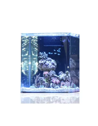 NANO ACUARIO MARINO BLAU OPEN REEF CUBO 91L Completo