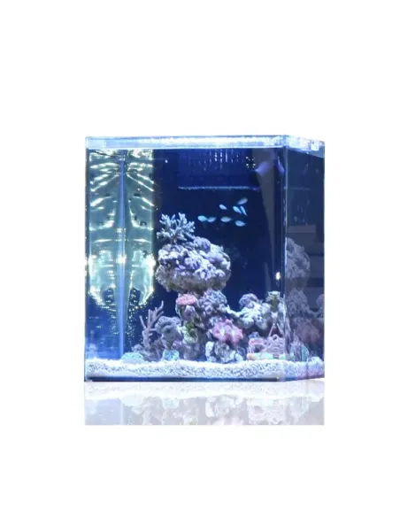 NANO ACUARIO MARINO BLAU OPEN REEF CUBO 91L Completo