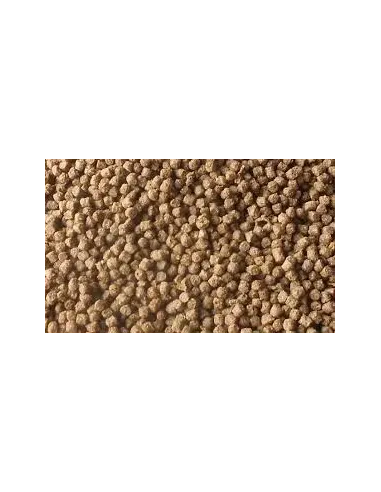 Alimento peces Kinsei Inmuno 6mm estanque koi y Carpas