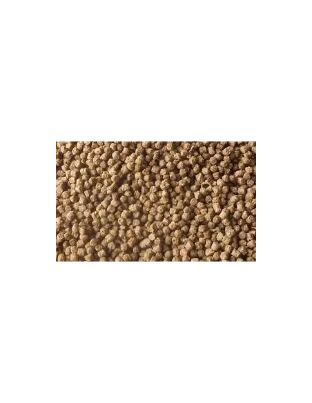 Alimento peces Kinsei Inmuno 6mm estanque koi y Carpas