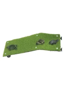 Rampa para Tortugas