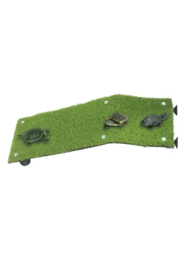 Rampa para Tortugas