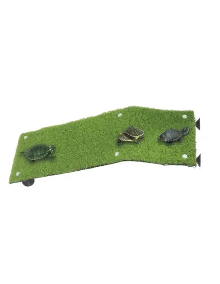 Rampa para Tortugas