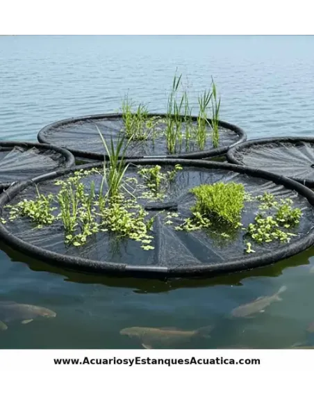 Isla Flotante para Plantas estanque 60cm