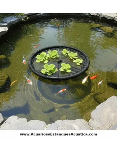 Isla Flotante para Plantas estanque 60cm