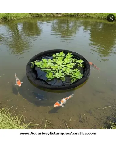 Isla Flotante para Plantas estanque 60cm