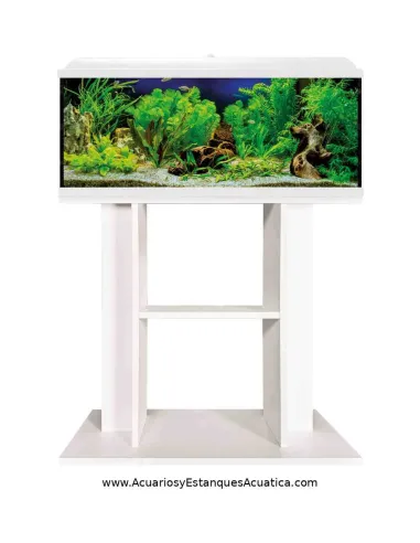 ✅Compra tu Acuario Barato Aqualight Glass - Acuarios y Estanques