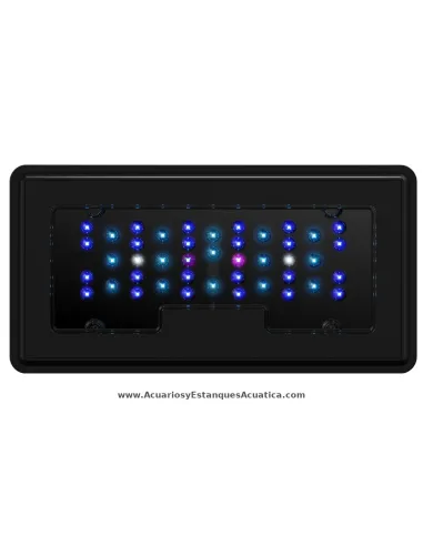 Luz LED 30W para acuario nano Maxspect JUMP MJ-L230
