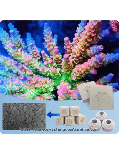 Bloque biológico cerámico para acuario Maxspect Nano‑Tech Bio Block 5 cm