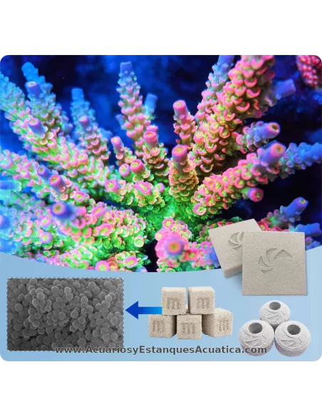 Bloque biológico cerámico para acuario Maxspect Nano‑Tech Bio Block 5 cm