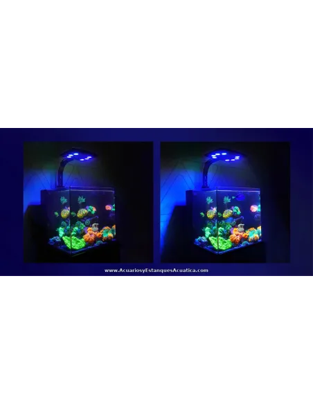 Luminaria LED 93W para acuario marino Maxspect Jump MJ-L290