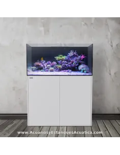 Acuario marino completo 120 cm para arrecife AF Ocean Guard 605