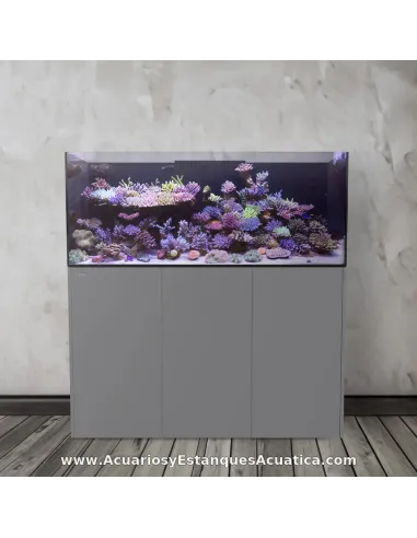 Acuario marino 790 litros con sump Ocean Guard