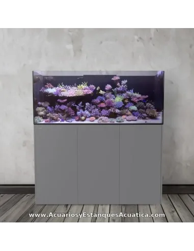 Acuario marino 790 litros con sump Ocean Guard