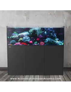 Acuario marino 980 litros con sump Ocean Guard AF