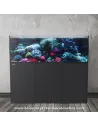 Acuario marino 980 litros con sump Ocean Guard AF