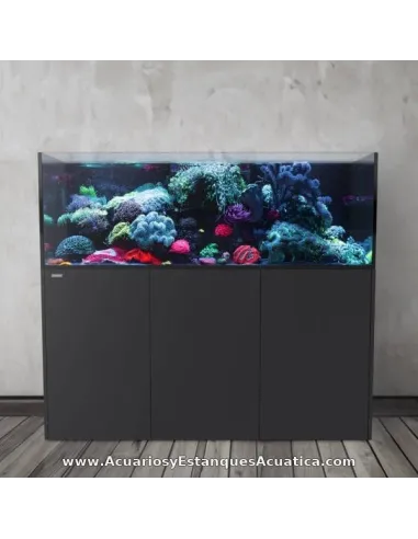 Acuario marino 980 litros con sump Ocean Guard AF