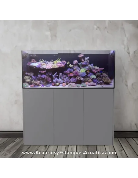 Acuario marino 980 litros con sump Ocean Guard AF