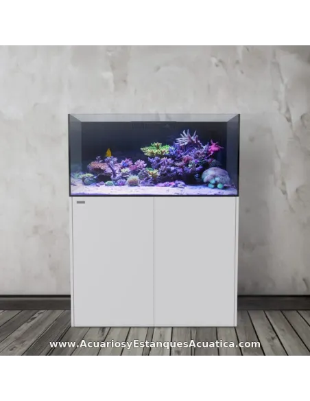 Acuario marino 980 litros con sump Ocean Guard AF