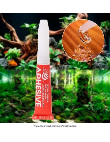 Pegamento para Acuario Aqua World Glue 5 g Cianoacrilato Aquascaping