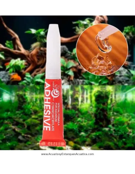 Pegamento para Acuario Aqua World Glue 5 g Cianoacrilato Aquascaping
