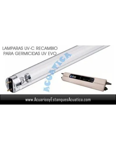 LAMPARA RECAMBIO 30W UV-C TL ULTRAVIOLETA