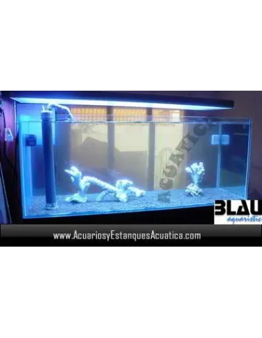 Acuario Blau Gran Cubic 540L Marino - Acuarios y Estanques