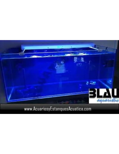 Acuario de Agua Salada | Acuarios y Estanques