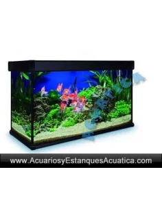 ACUARIO KIT AQUALUX PRO 300 LITROS