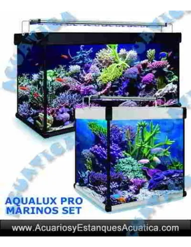 ACUARIO KIT AQUALUX PRO MARINO 100