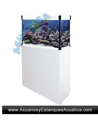 Acuarios Iluminacion Led | Acuarios y Estanques