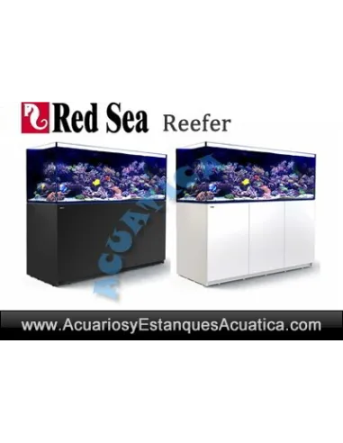 ACUARIOS MARINOS RED SEA REEFER