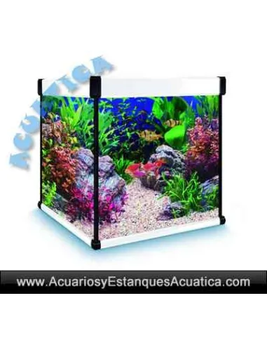 Aqualux Pro 190L: El Kit Completo para Acuarios de Agua Dulce ????????