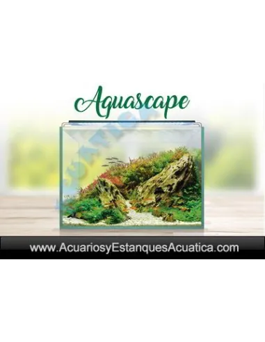 ACUARIOS AQUASCAPE RGB KIT