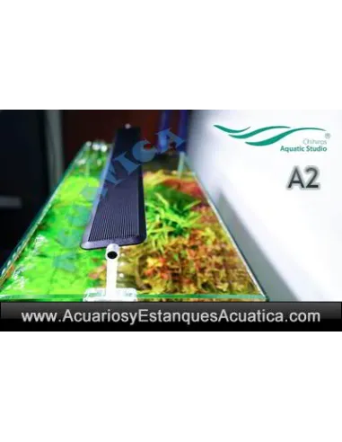 CHIHIROS A2 PANTALLA LED ACUARIO PLANTADO