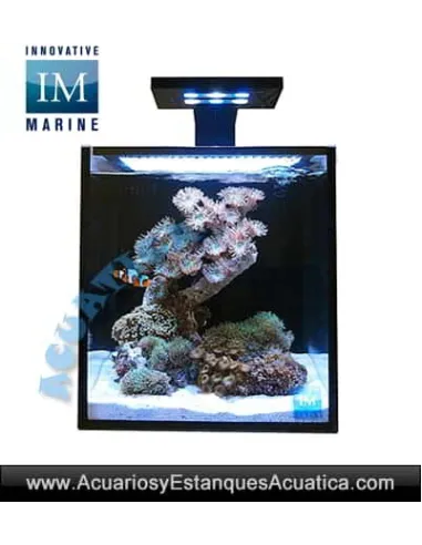 ACUARIO MARINO INNOVATIVE MARINE FUSION NANO 10