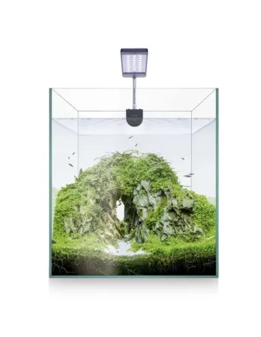 KIT ACUARIO AQUASCAPE RGB 20