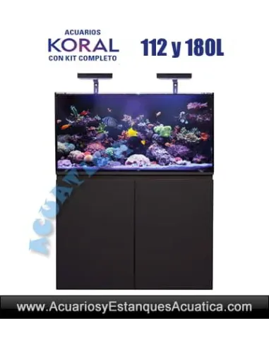 ACUARIO MARINO KORAL KIT