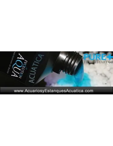 BACTERIAS PURE FILTER START GEL INICIADOR FILTRO