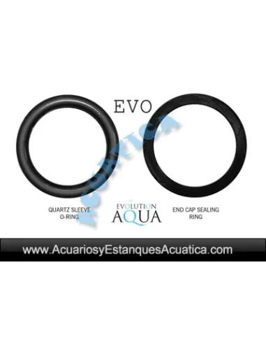 RECAMBIO JUNTAS CLARIFICADOR UV EVO 75W