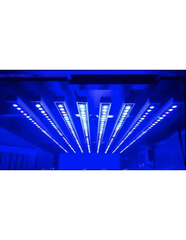 ORPHEK OR4 BLUE PLUS PANTALLA LED ACUARIO MARINO