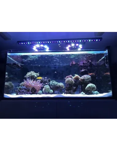 ORPHEK OR4 BLUE PLUS PANTALLA LED ACUARIO MARINO