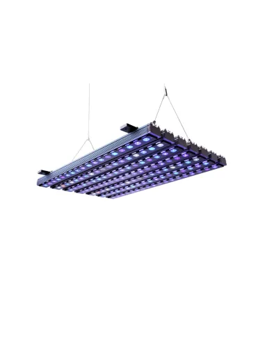 ORPHEK OR4 BLUE PLUS PANTALLA LED ACUARIO MARINO