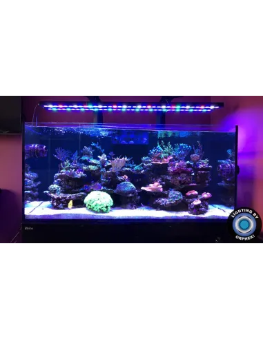 ORPHEK OR4 BLUE PLUS PANTALLA LED ACUARIO MARINO